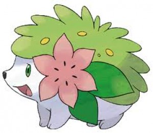 shaymin.jpg